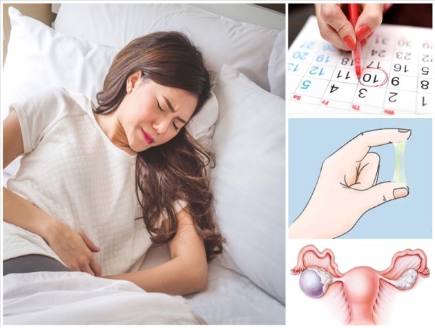 PHỤ KHOA E3 - SỬ DỤNG ĐÔNG Y TRONG VIỆC PHÒNG NGỪA, XỬ LÝ VÀ CHĂM SÓC PHỤ KHOA